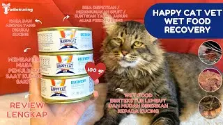Review Wet Food Kucing yang Lagi Sakit! Happy Cat Vet Diet Recovery 100 Gr! #94| Radio Kucing