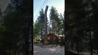 Negative rigging large wood utilizing the double block technique.