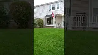 Canadian dog lovers