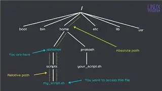 Paths Episode 02: Absolute and Relative Paths