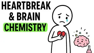 The brain chemistry of heartbreak