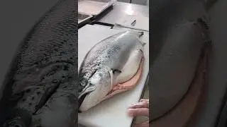 Professional salmon cutting!