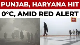 Punjab And Haryana Hit Zero Degrees As Meteorological Dept Issues Red Alert | India Today News