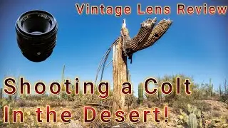 Vintage Lens Review: Colt Wide-Auto 35mm f2.8 | Robot Impurity Photography