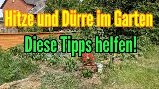 So bleibst du trotz Hitze im Garten cool! Diese Tipps helfen bei Hitzewelle und D&uuml;rre im Garten