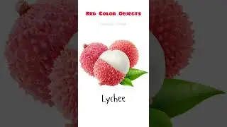 Red color objects | Contoh benda berwarna merah part 6 #bendamerah #redobjects