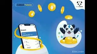 Punk Panda Income Proof