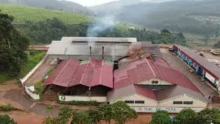 Office du Th&eacute; du Burundi benefits from EU-EAC MARKUP II support
