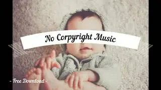 Dolphin - Rondo Brothers (No copyright music Download) Happy music 無版權快樂音樂