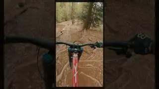 Dh on Slippery roots😳🥵 #shorts #downhillmtb #freeridemtb #mtb #bikepark #downhill