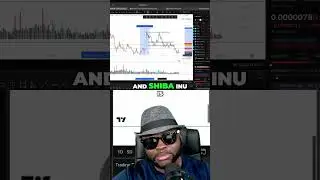Shiba Inu: 5x Potential? Analyzing the Next Big Crypto Move!