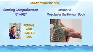 Reading Comprehension - B1 - Lesson 12 - Muscles in the Human body