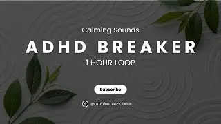 ADHD Breaker 1 Hour of Complete Silence