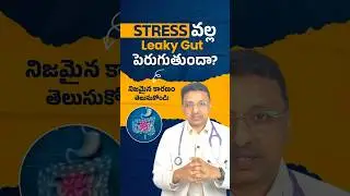 Stress వల్ల Leaky Gut పెరుగుతుందా?👉 నిజమైన కారణం తెలుసుకోండి!
