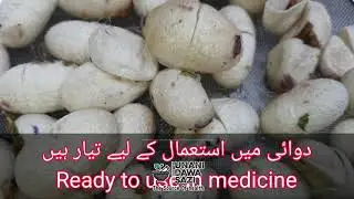 silk cocoons cleaning for medicine use || ابریشم مصفہ کرنے کا طریقہ