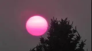 Captain Jokeswell Presents: The Pink Sun !!!