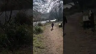 Tuesday walk. Ralph's recall practice.