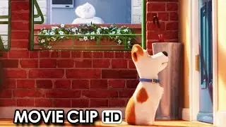 Meet Max & Gidget from 'The Secret Life Of Pets' (2016) HD