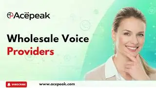 Wholesale Voice Providers: Reliable Communication Solutions with Ace Peak Investment.