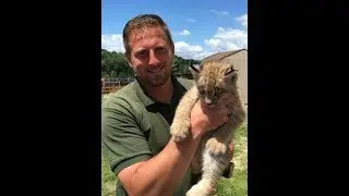Animal Adventures with Jordan: Canadian Lynx