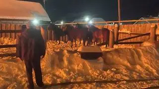 The equestrian club burned down and the groom died.