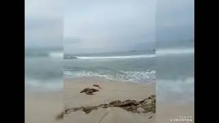 Playa de chulluype Santa Elena 2024