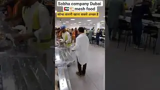 Sobha company Dubai 🇦🇪🏗️mesh food #sobhacity #foodlover #foodvloger #dubaifoods #jobfood #foodster