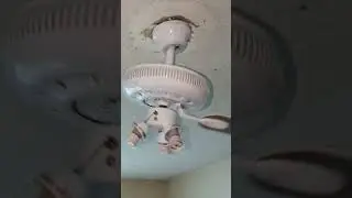 Ceiling fan Falls 💀😰😰 #ceilingfan #stupidvideo #crazy  #shorts