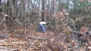 redneck logging 2