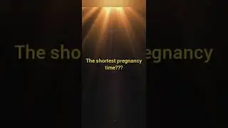 Shortest pregnancy time #animalfacts #factvideos #animals #shortsfeed @newlightworld7165