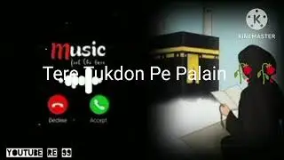 Tere Tukdo Pe Plain | No Copyright Naat Sharif ringtone | #Islamicchannel  #MD_Zubair_Khan12🌸🥀👈