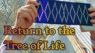 Returning to the Tree of Life - Seekers & Keepers