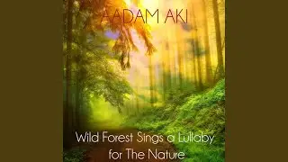 Back to the Forest Wild Birds Sing an Ambiance Song