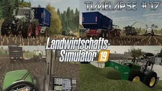 [LS19] - Timelapse #17 Ellerbach Seasons: Lieblingssport - Maistransport! 🌽🌽 14.000 Abo Special 💛💚