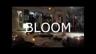 BLOOM. art installation, performance piece.  by Juliana LaChance and Molly Kubes. 2014 No VACANCY