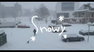 30 Minutes Snowfall in Germany ❄️ Relaxing Snowfall Music | Winter Ambience