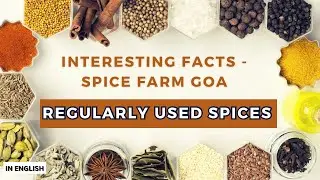 Unknown facts on commonly used Spices | Spice Farm | Goa | English | LF2E | #goa #spicefarm #spices