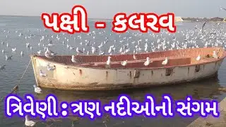 ત્રિવેણી સંગમ સોમનાથ | પક્ષીઓ કલરવ | TRIVENI SANGAM SOMNATH MAHADEV