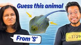 all answers start with S (with a twist! 😳)