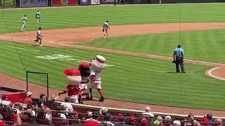 Reds mascot race - 07072024