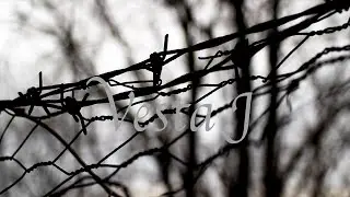Vesta J - Alter Ego