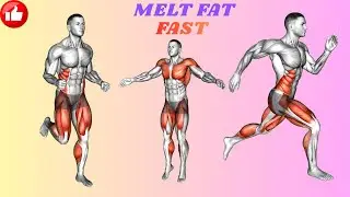 15 Min Full Body Cardio at Home | No Jumping Options Included
