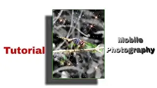 How to edit photo in mobile and change the background? | Before 🎭 after photo editing| PicsArt |