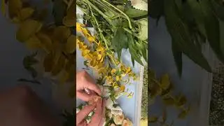 Deconstructing Spring Wedding Bouquet