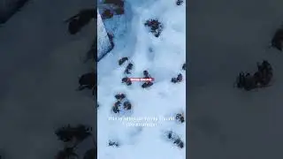 Dead Bees in the Snow? This Is Actually GOOD News 🐝❄️ #bee #youtubeshorts  #Shorts #Viral #Trending