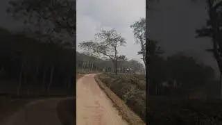 When riding a bike off-road, be sure to wear a helmet #offroad #carefully #driving #helmet #jarny