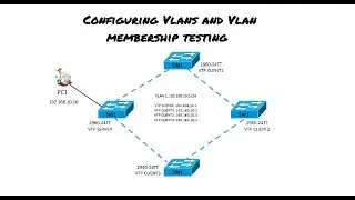 VTP servers & VLAN Membership Testing with 4 switches || CISCO PACKET TRACER