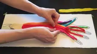 Extensor Muscles of the Forearm