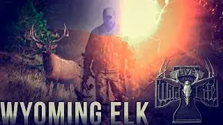 Screaming Bull Elk at 52 yards