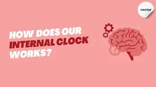 How does our internal clock works? | Circadian rhythm | #news #science #elections.
